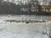 frozen-lake